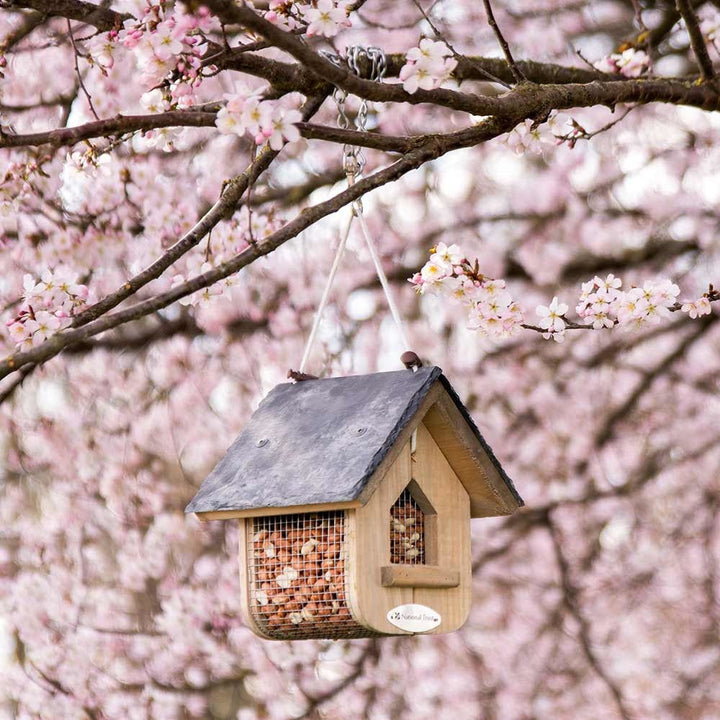National Trust Jupiter Slate Peanut And Suet Feeder