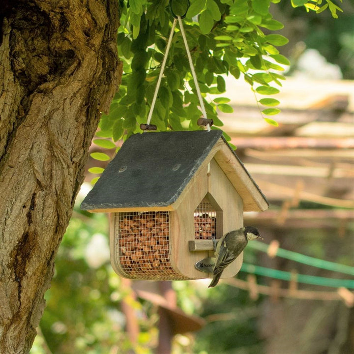 National Trust Jupiter Slate Peanut And Suet Feeder