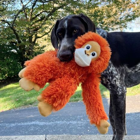 Tall Tails Rope Body Orangutan Toy