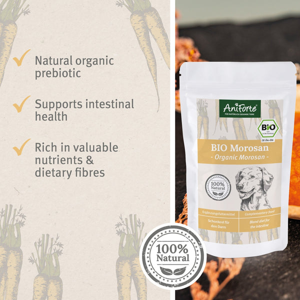 Aniforte Organic Morosan for Dogs 100g With Carrot Puree and Prebiotic