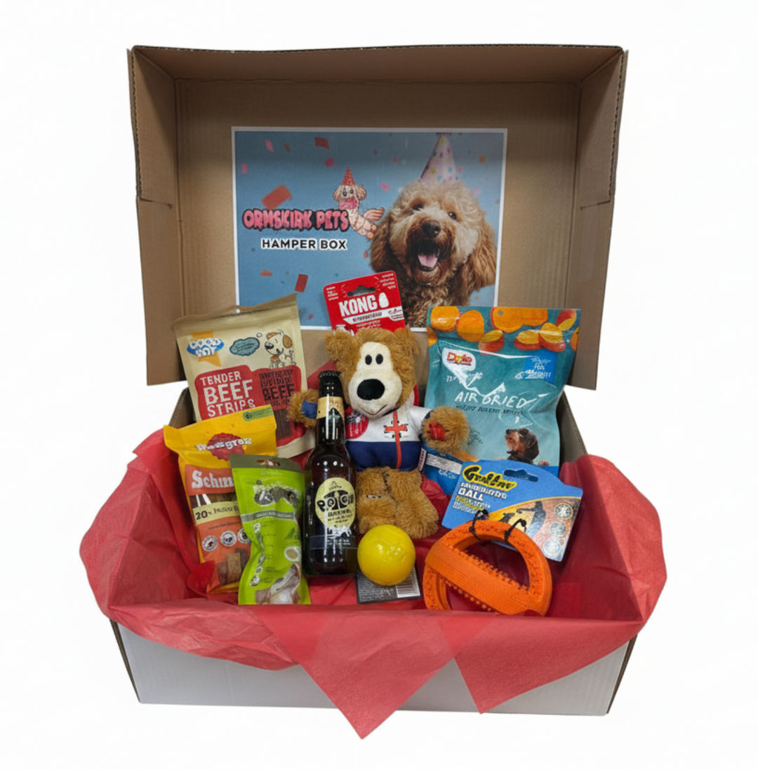 Kong Football Hamper - England