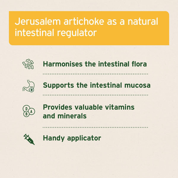 Aniforte Prebiotic Jerusalem Artichoke Concentrate - 30 ml