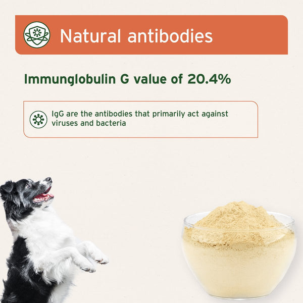 Aniforte Premium Colostrum Powder for Dogs &amp; Cats - 100g
