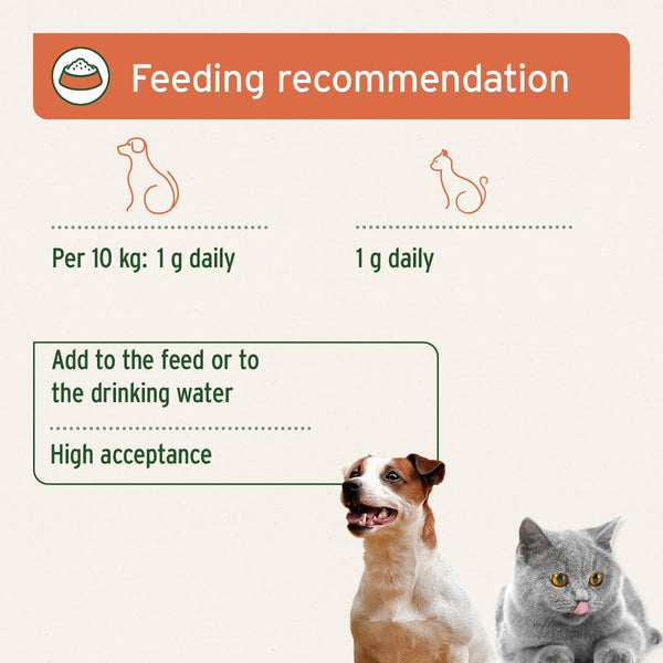 Aniforte Premium Colostrum Powder for Dogs &amp; Cats - 100g