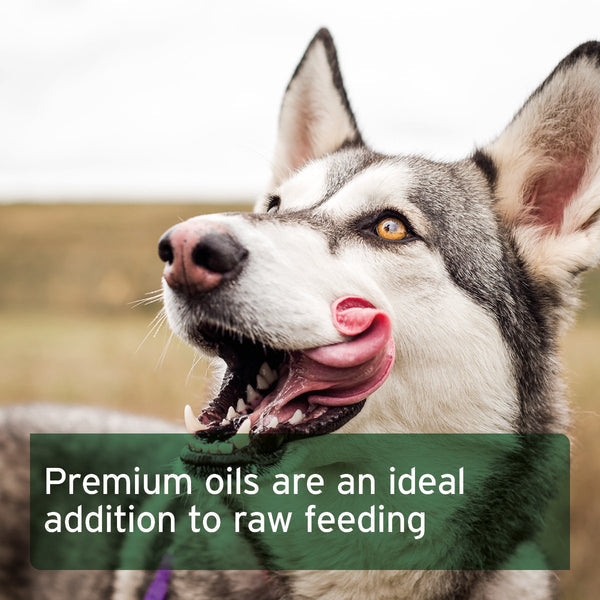 Aniforte Premium Feed Oil for Dogs