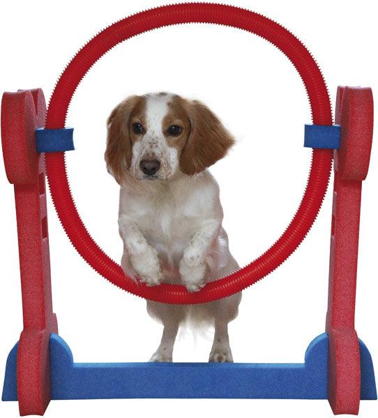 Rosewood Small Dog Hoop