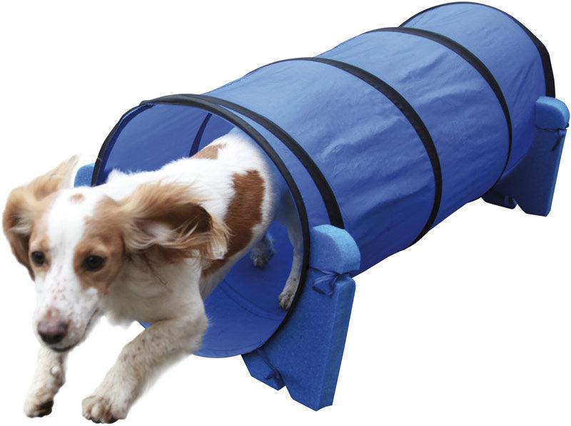 Rosewood Small Dog Tunnel