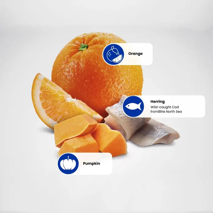 N&D Ocean Cat Herring Pumpkin & Orange Adult 1.5kg