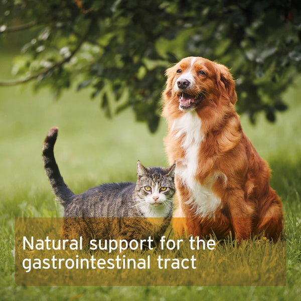 Aniforte Psyllium Husks for Dogs &amp; Cats 250g