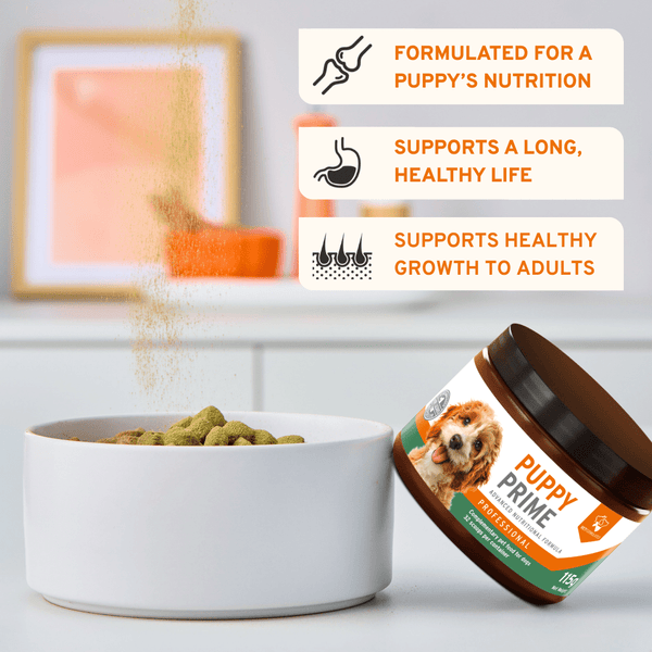 Aniforte Puppy Prime 115g