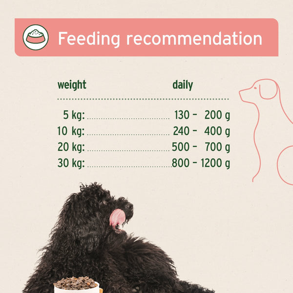 Aniforte PureNature Pure Beef - Wet food for Dogs