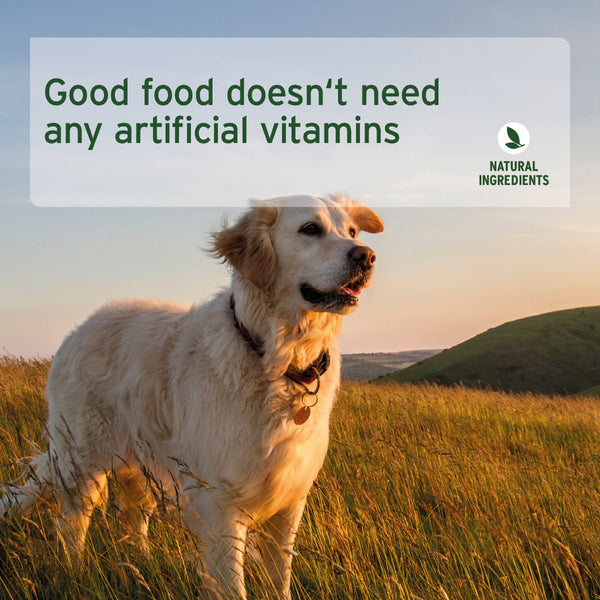 Aniforte PureNature Pure Beef - Wet food for Dogs