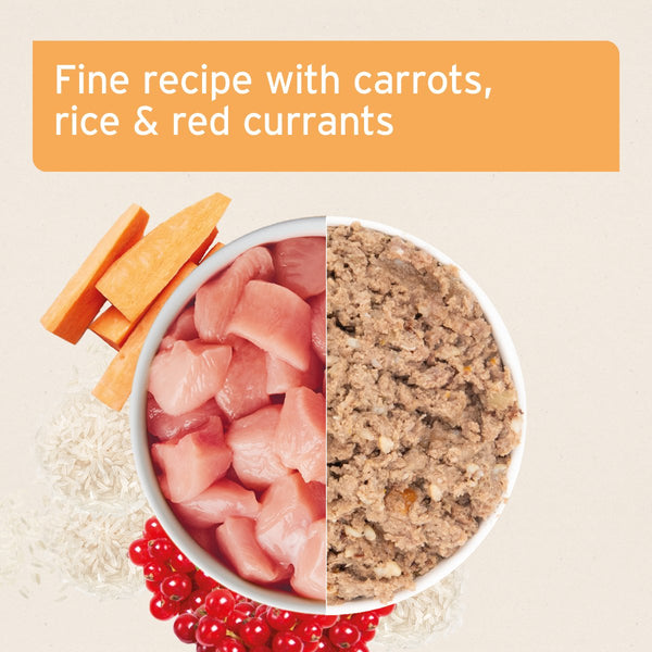 Aniforte PureNature Chicken - Wet Food for Dogs