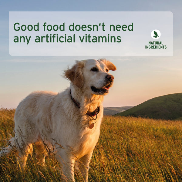 Aniforte PureNature Chicken - Wet Food for Dogs