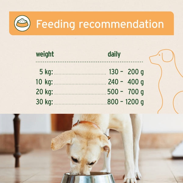 Aniforte PureNature Chicken - Wet Food for Dogs