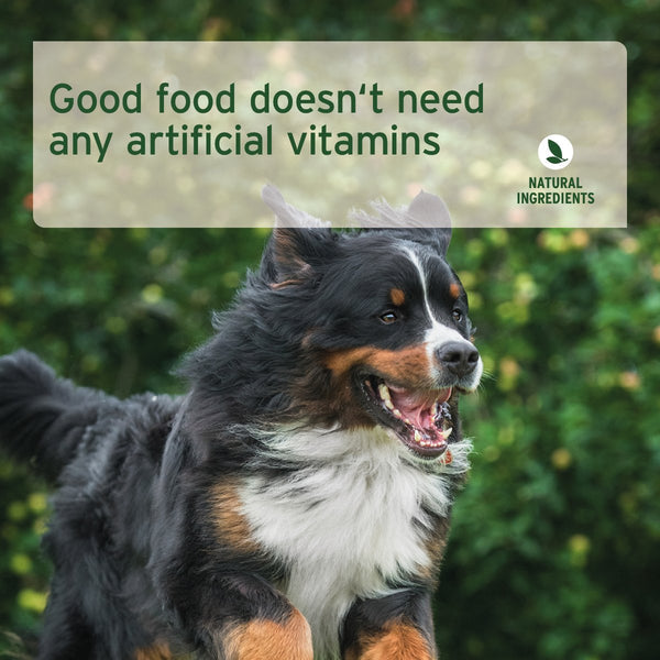 Aniforte PureNature Farms Lamb - Wet Food for Dogs