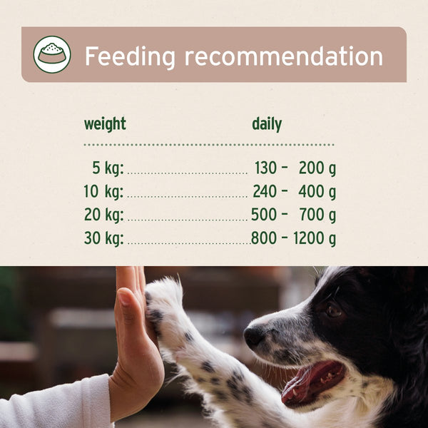 Aniforte PureNature Farms Lamb - Wet Food for Dogs