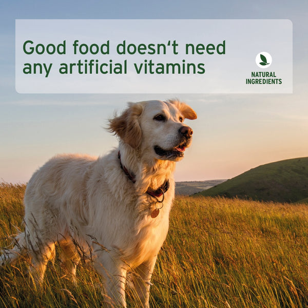 Aniforte PureNature Freeland Duck - Wet food for Dogs