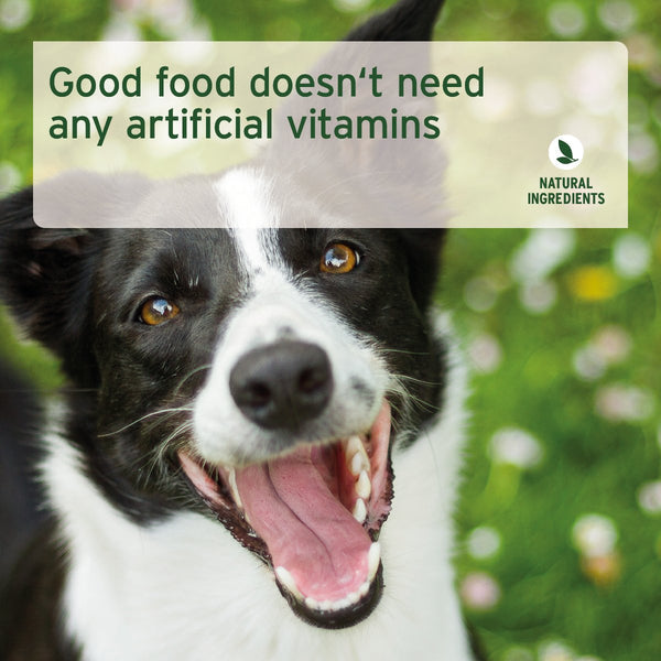 Aniforte PureNature GreenField Turkey - Wet Food for Dogs