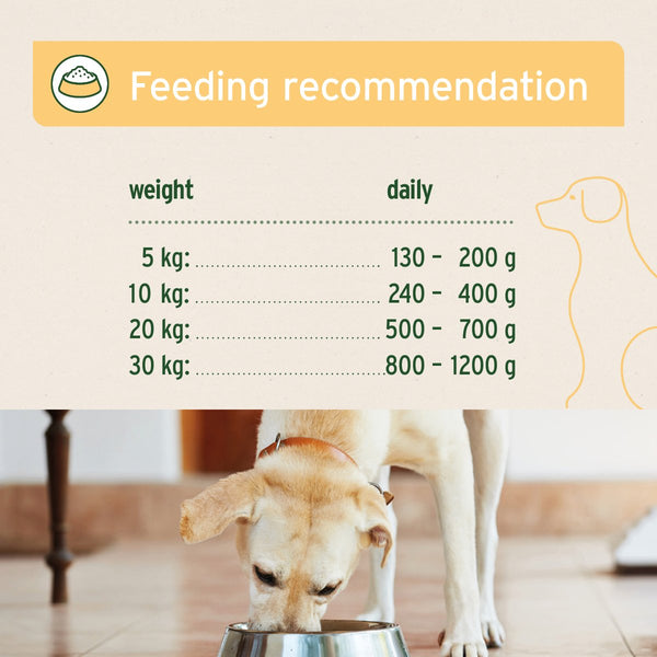 Aniforte PureNature GreenField Turkey - Wet Food for Dogs