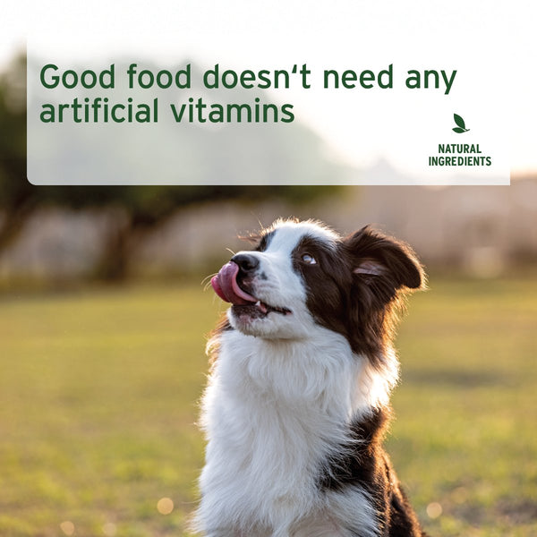 Aniforte PureNature Pure Goat  - Wet food for Dogs