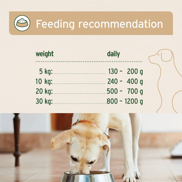 Aniforte PureNature Wild Buffalo - Wet Food for Dogs - 6 x 400g