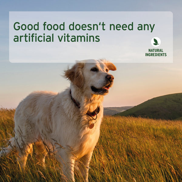 Aniforte PureNature Wild Buffalo - Wet Food for Dogs - 6 x 400g