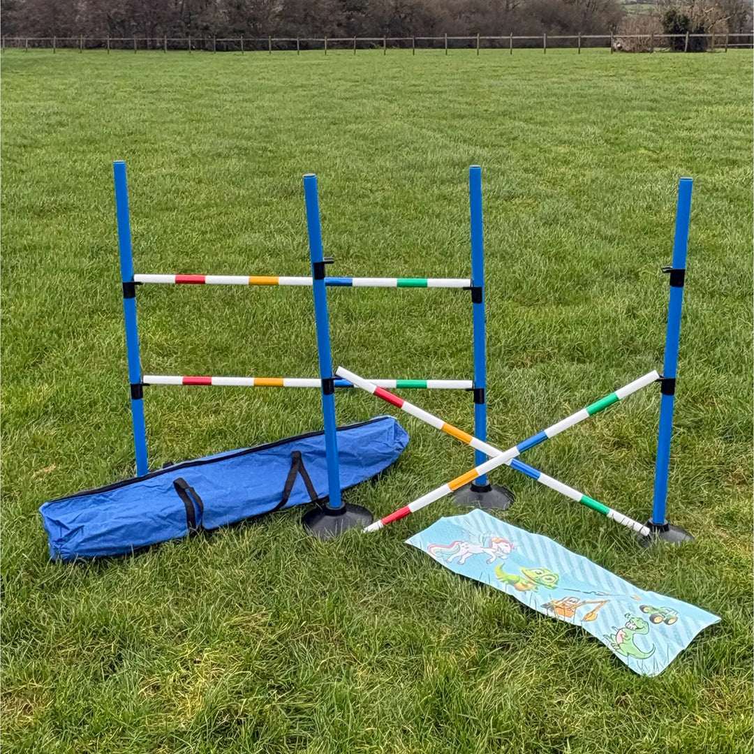 HOBBY HORSE JUMPS SET