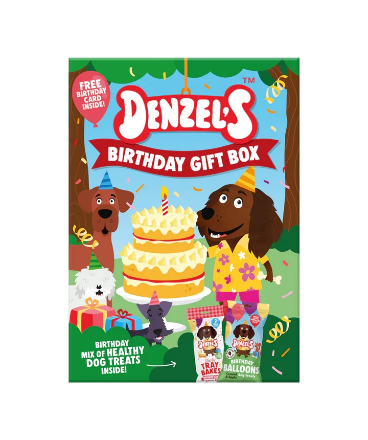 Denzels Birthday Gift Box For Dogs 110G