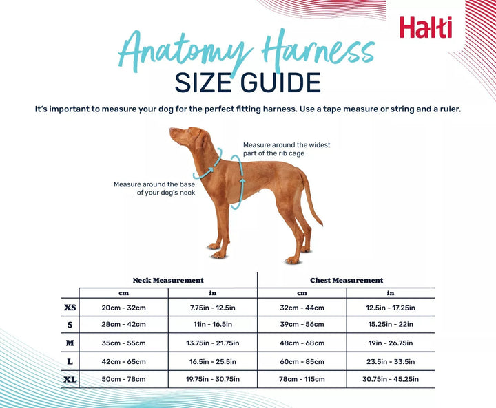 Halti Anatomy Harness Pink