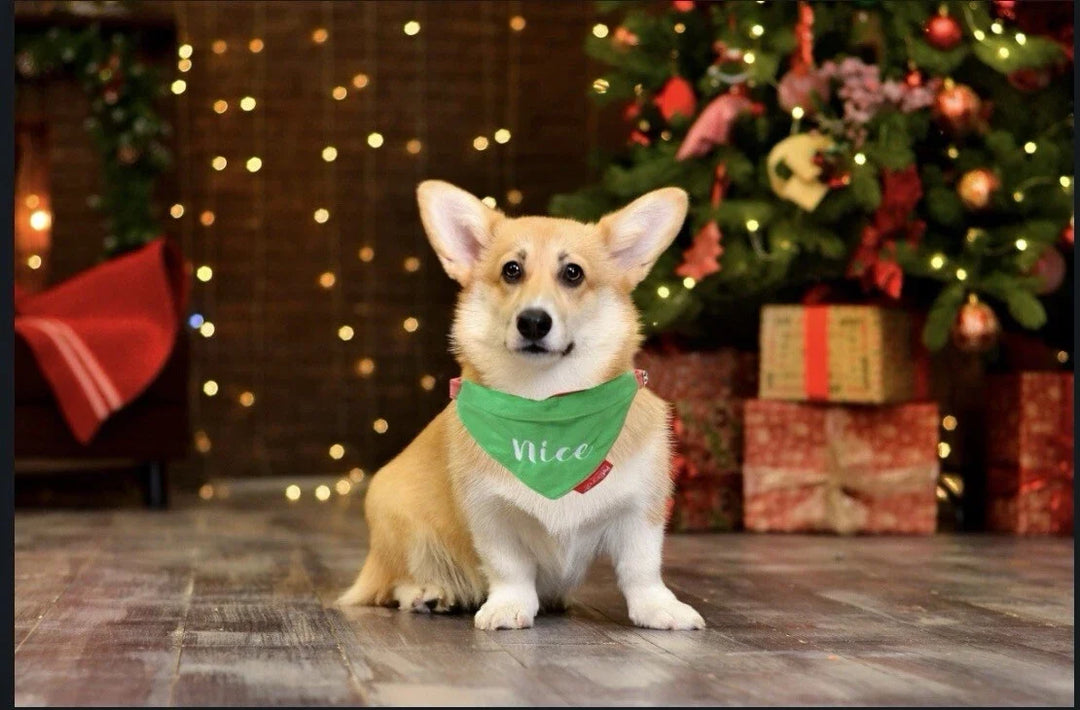 Naughty or Nice Reversible Bandana