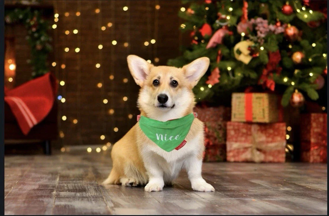 Naughty or Nice Reversible Bandana