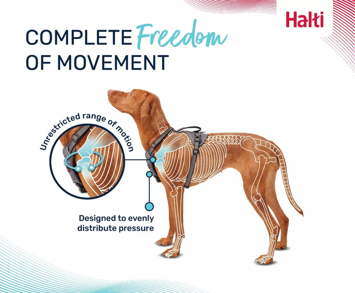 Halti Anatomy Harness Pink
