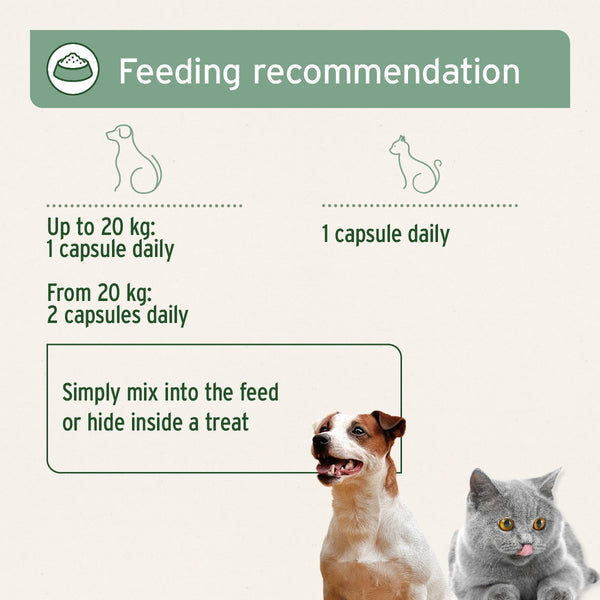 Aniforte Salmon Oil 200 Capsules for Dogs &amp; Cats - Natural Omega-3 EPA