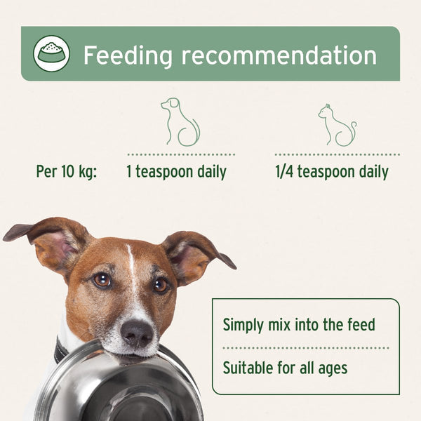 Aniforte Salmon Oil - For Dogs, Cats and Horses