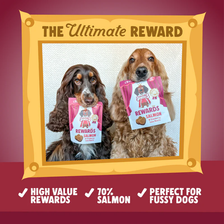 Denzels Rewards Salmon & Cranberry 70G