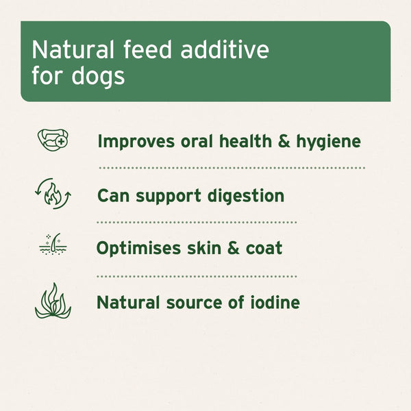 Aniforte Seaweed Powder for Dogs - 250g