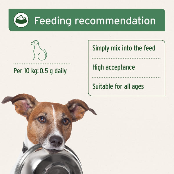Aniforte Seaweed Powder for Dogs - 250g