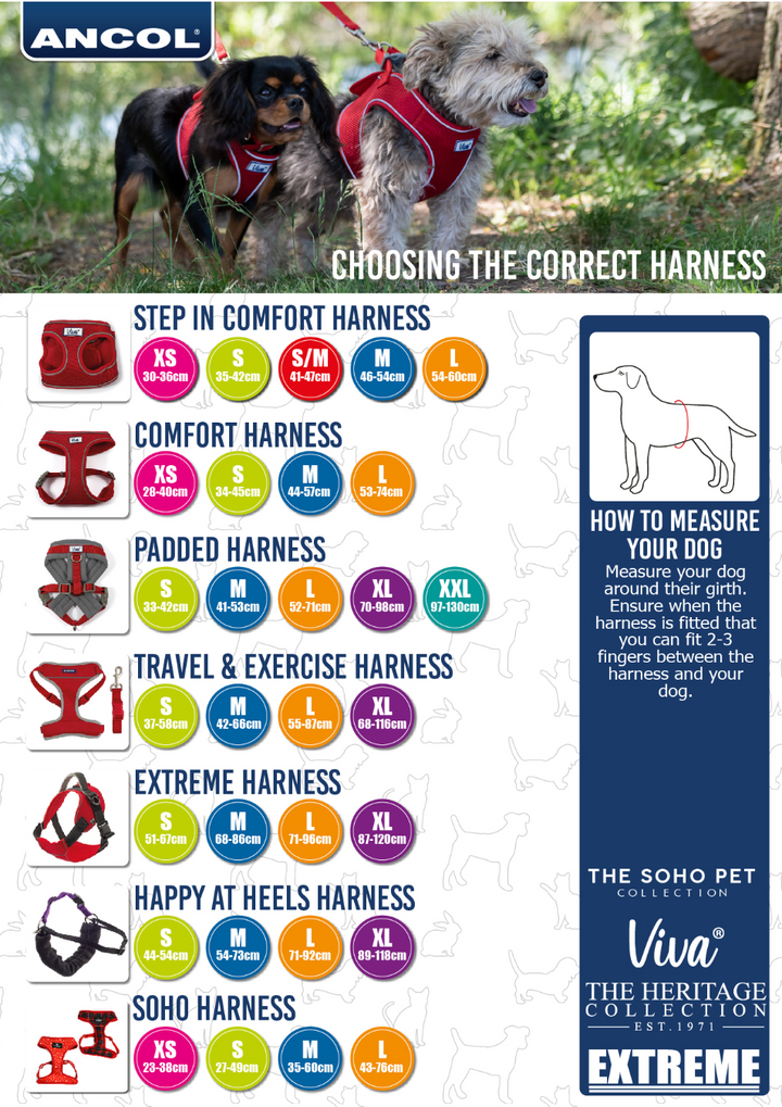 Ancol Viva Travel Harness Purple