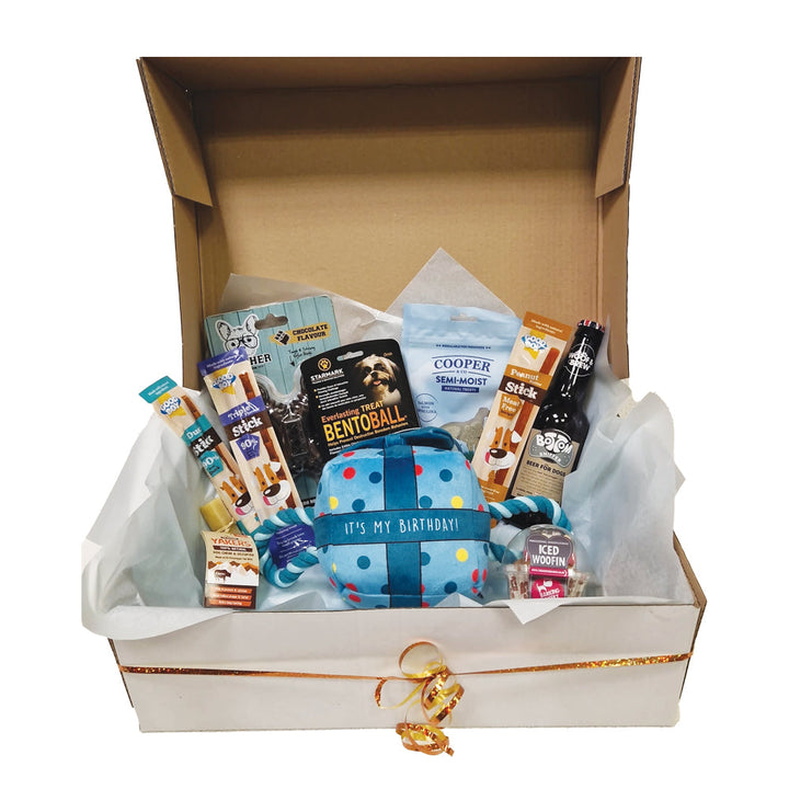 Birthday Hamper Box for Doggy Premium