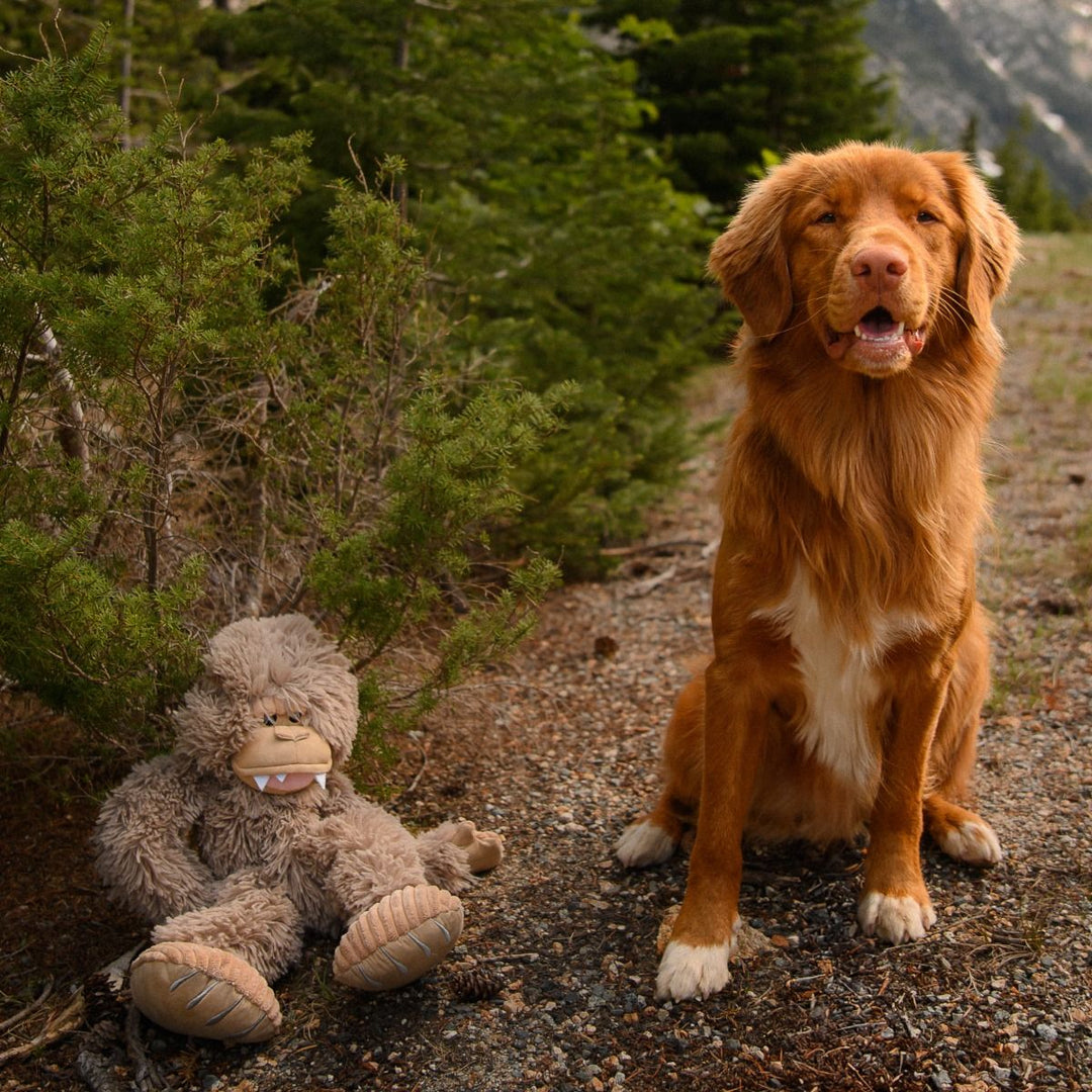 Tall Tails Plush Stuffless Big Foot Toy