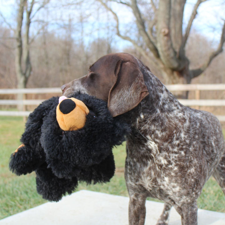 Tall Tails Plush Stuffless Black Bear Toy