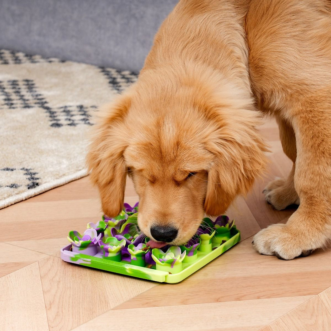 Tall Tails Succulent Garden Foraging Mat