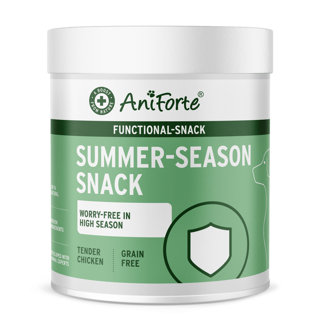 Aniforte Summer Season Snack