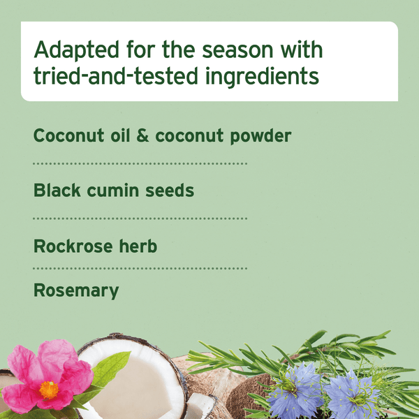 Aniforte Summer Season Snack