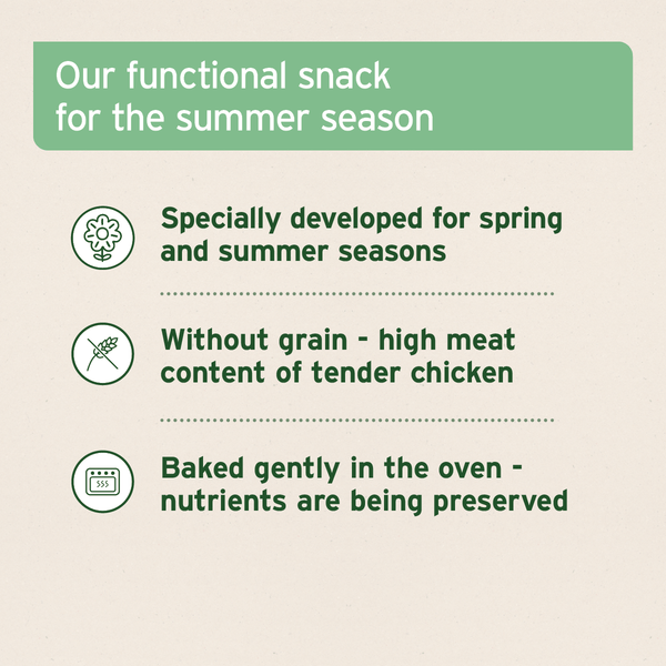 Aniforte Summer Season Snack
