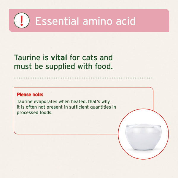 Aniforte Taurine Powder for Cats - Essential Amino Acid Supplement
