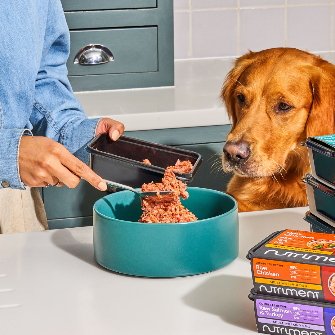 Nutriment Sensitive Support Dog 500g