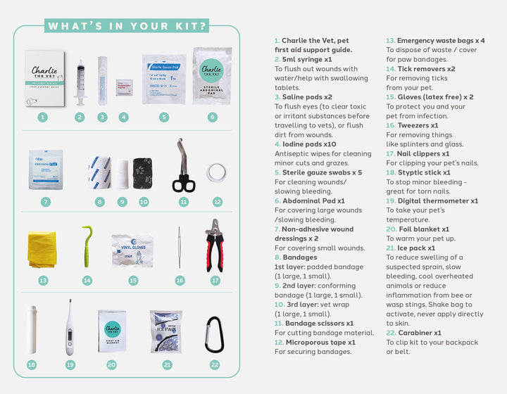 Charlie The Vet Pet First Aid Kit